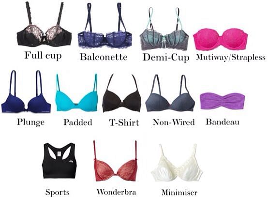The brassiere glossary every girl needs to read! - Times of India