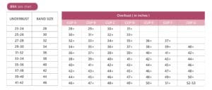 Bra Size Chart India Explore The List Of Bra Sizes Clovia