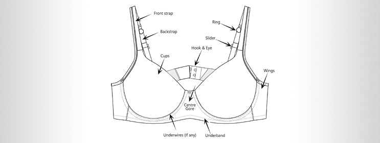 The anatomy of the Love Intimo Bra! How many different parts can you name?