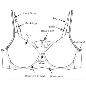 38DD/E bra size: chest and cup measurements, sister sizes in inches and cm,  example of celebrity breasts