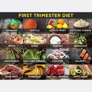 Pregnancy Diet Plans: Trimester By Trimester | Clovia Blog Pregnancy Diet Plans: Trimester By Trimester | Clovia Blog