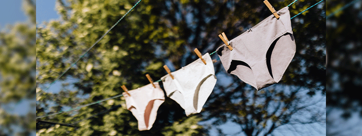  Feminine Wash+Panties Stain Remover Detergent