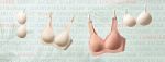 seamless bra
